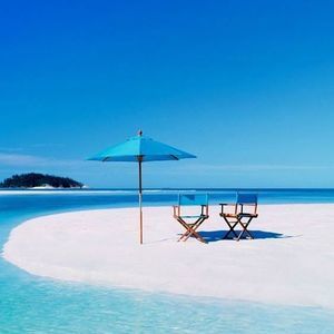 Meet your Posher, Loretta